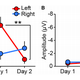 Brain responses during slow-wave sleep. (Image: Tamaki et al., 2016).